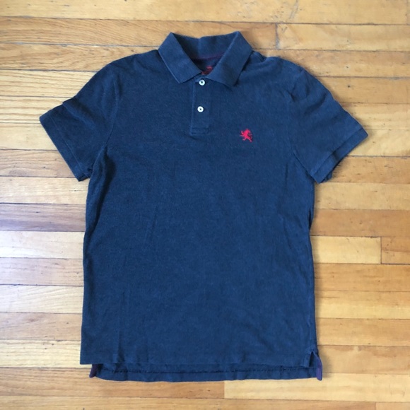 Express Polo - Picture 1 of 3
